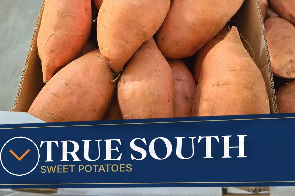 TRUE SOUTH carton print, close-up