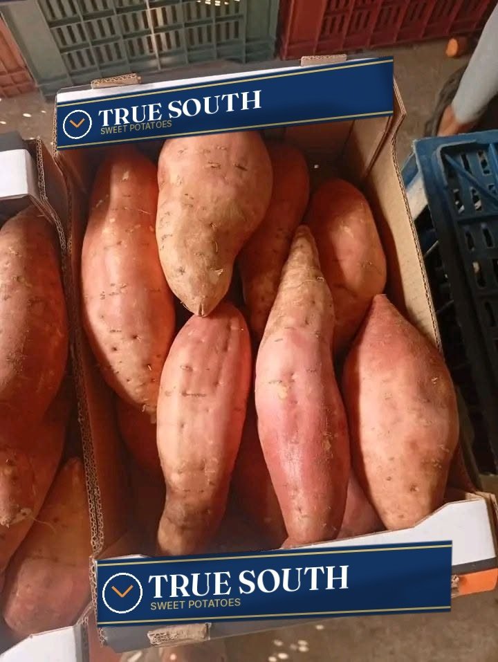 TRUE SOUTH carton, packed